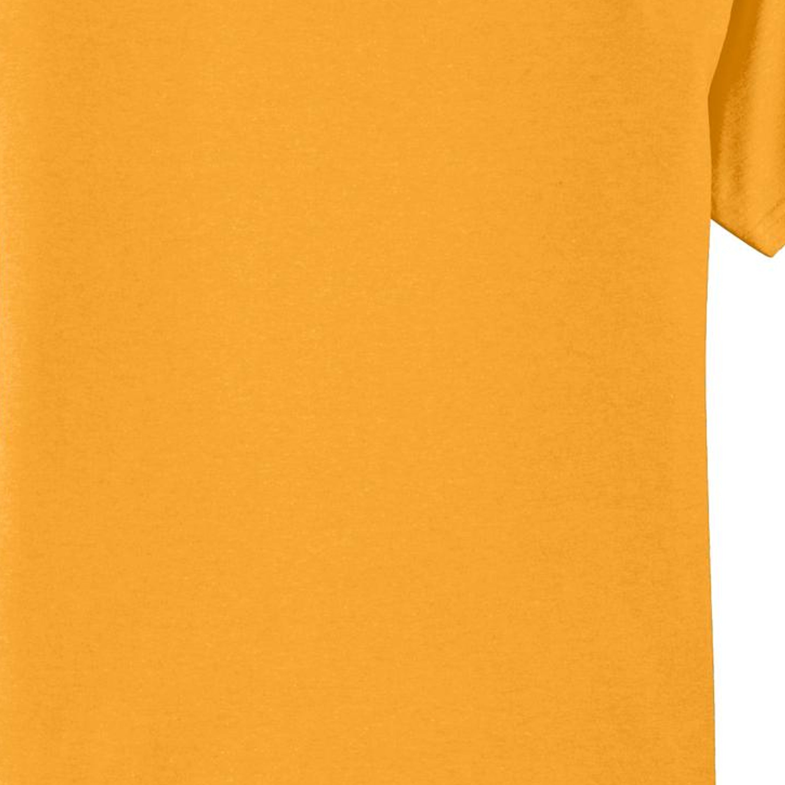 Gold - PC55 - BACK