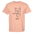 Neon Cantaloupe - C1717 - FRONT